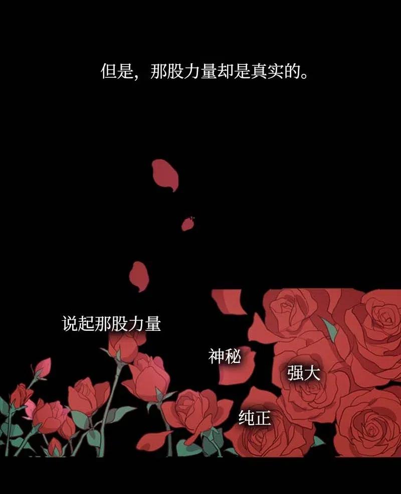 《满级圣女混迹校园》44 梦想 第14页