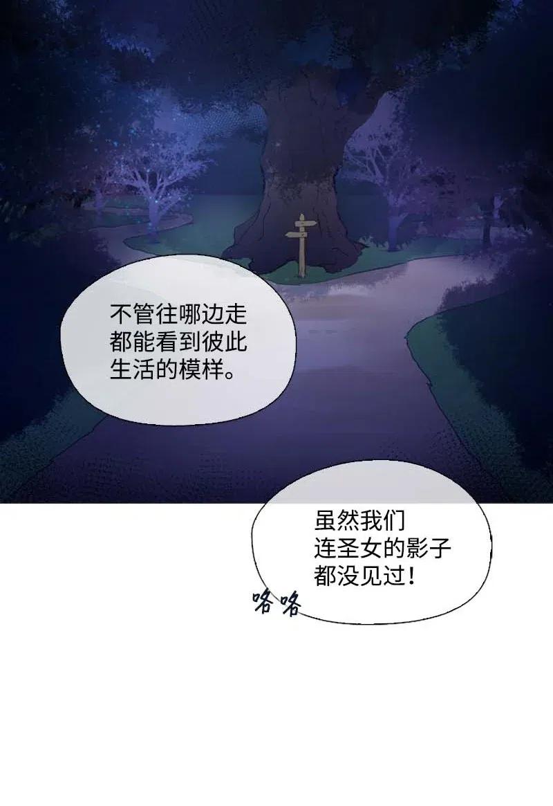《满级圣女混迹校园》49 劳尔的回忆 第14页