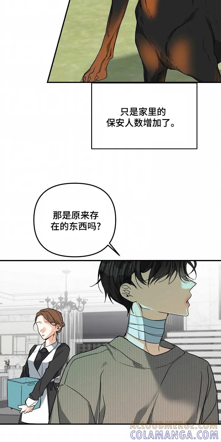 《狩猎之夜》第59章：【第二季】难道怀孕了 第17页