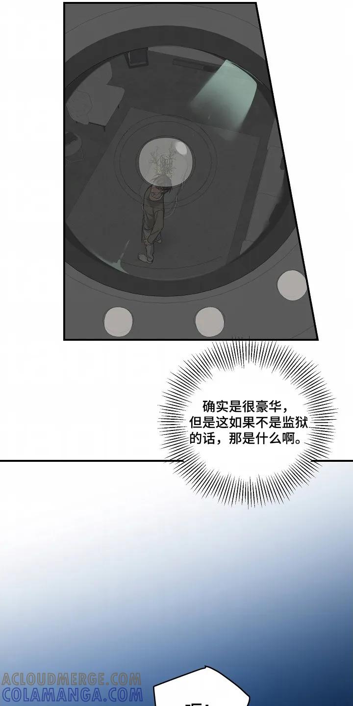 《狩猎之夜》第59章：【第二季】难道怀孕了 第21页