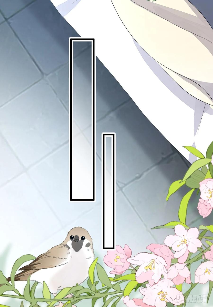 满月时分爱 - 月下遛鸟 - 第50张图