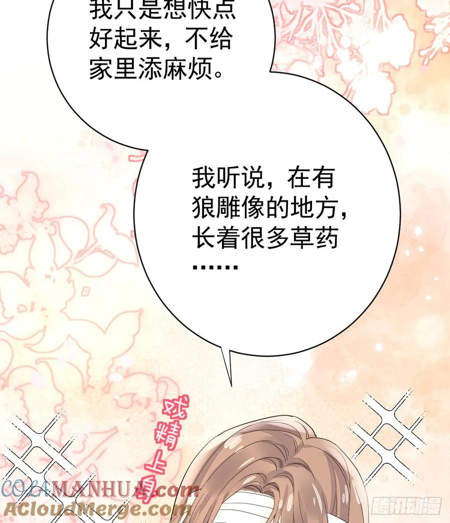 满月时分爱 - 三个条件 - 第43张图