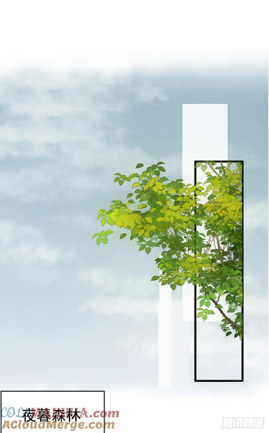 满月时分爱 - 夜暮森林再重逢 - 第4张图