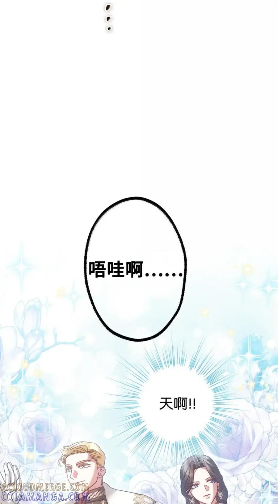 穿越成为暗黑系逆后宫小说男主们的小姨子 - 38 埃德加的生日宴会 - 第61张图