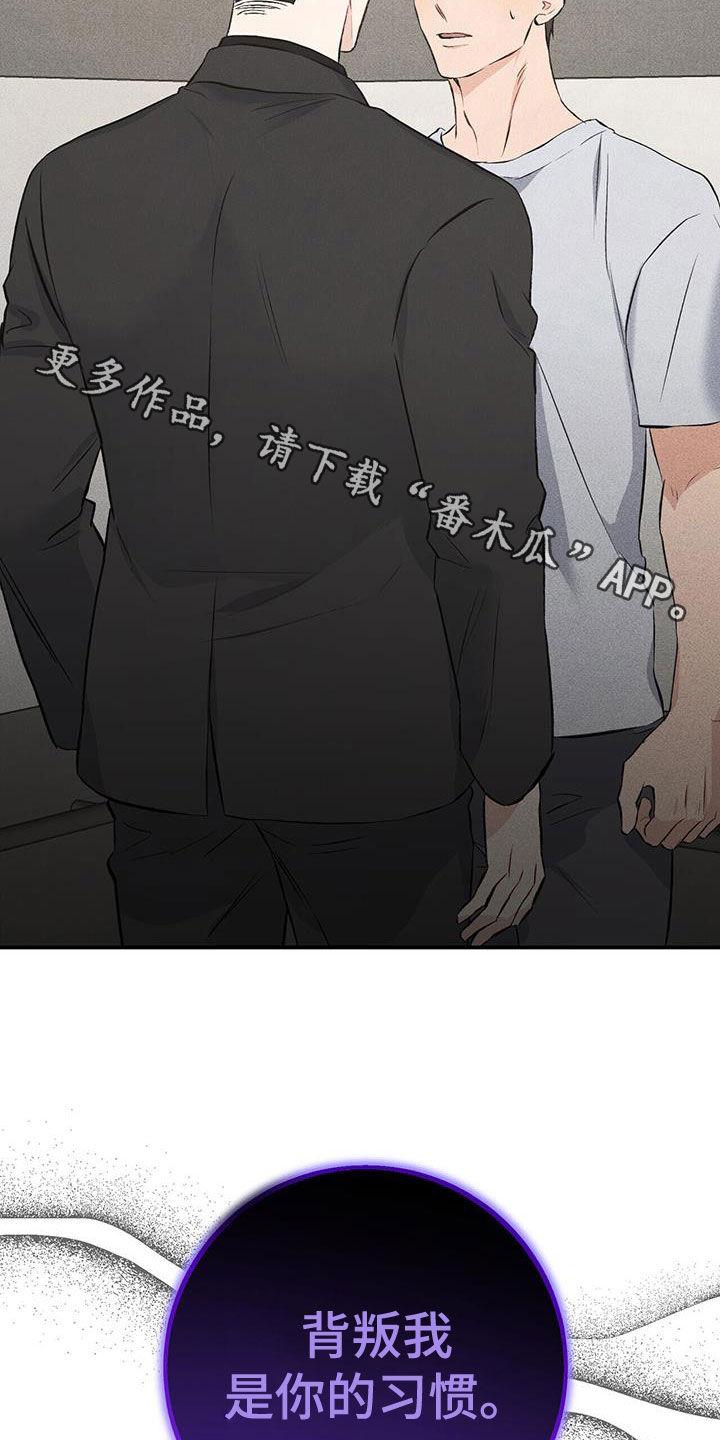 《债务条约》第35章：习惯 第26页