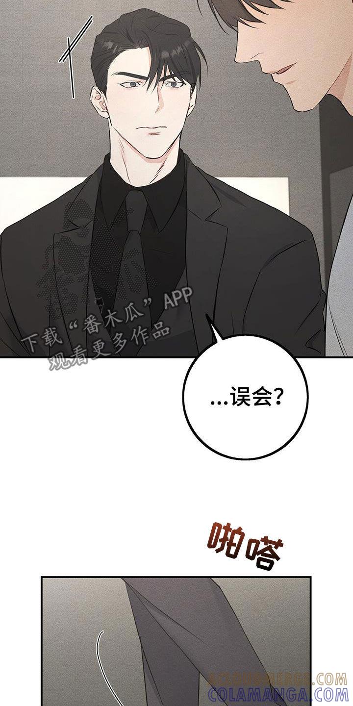《债务条约》第35章：习惯 第19页