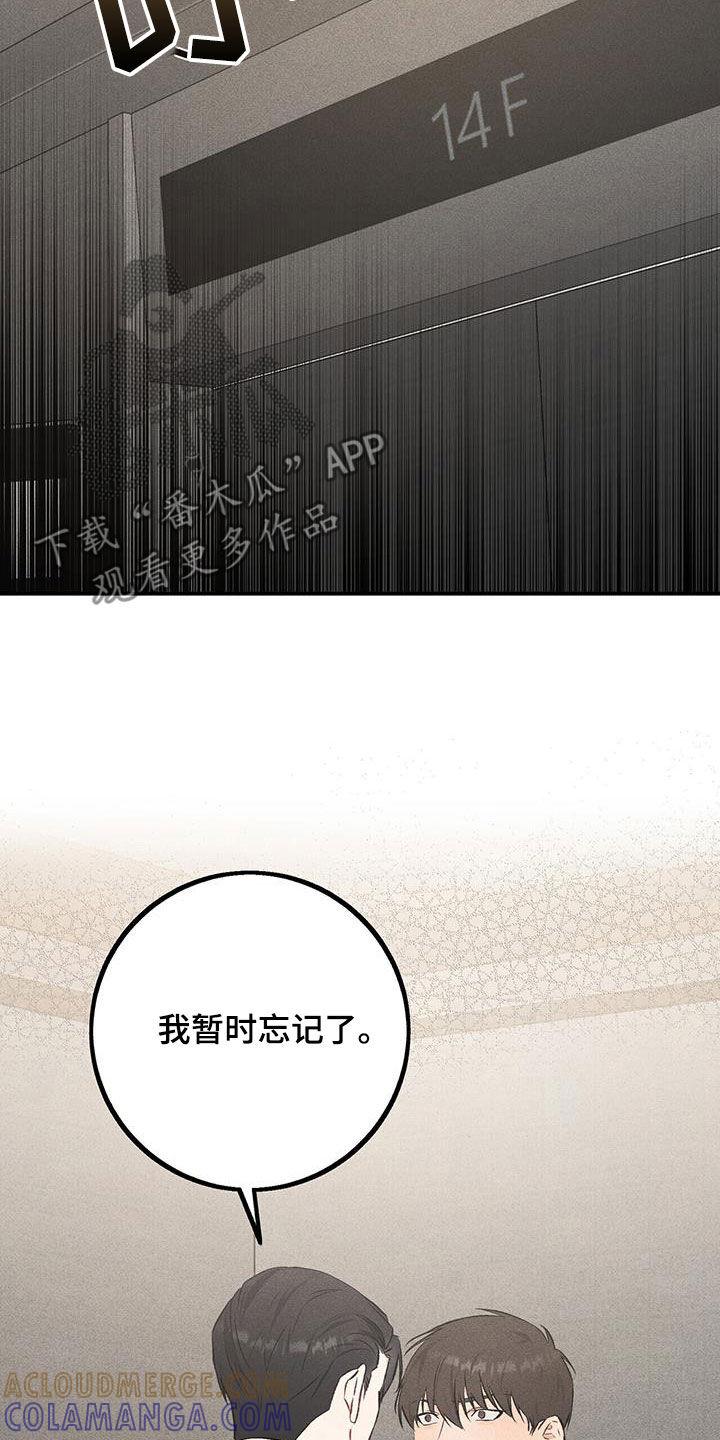 《债务条约》第35章：习惯 第25页