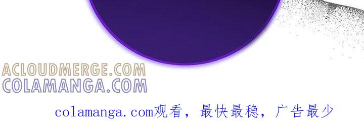 《债务条约》第35章：习惯 第27页