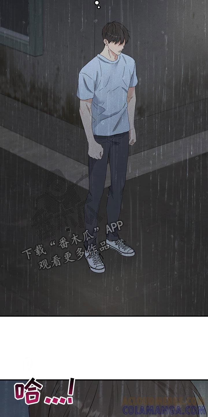 《债务条约》第35章：习惯 第3页
