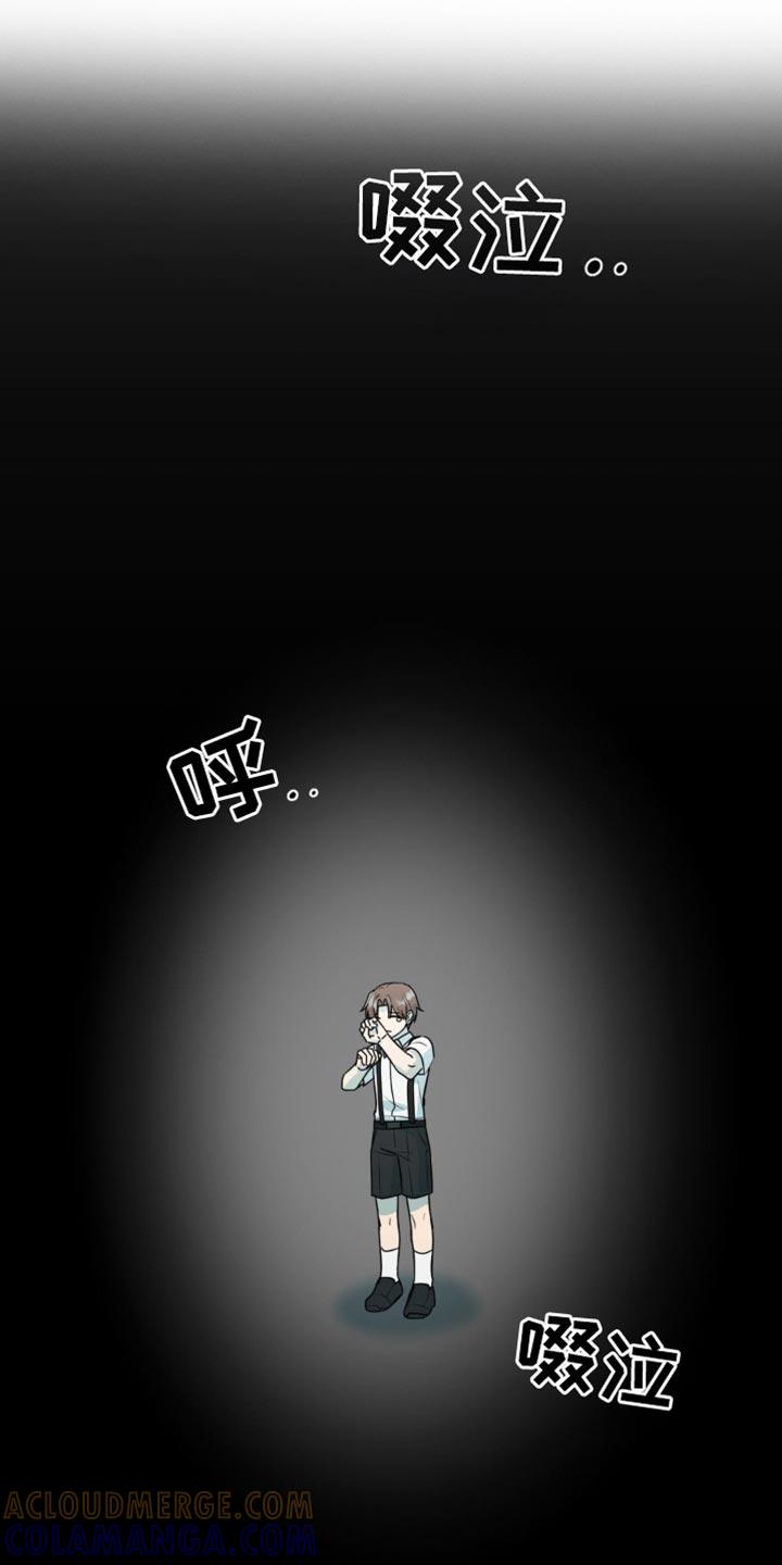 《互补人生》第58章：那我帮你实现 第13页