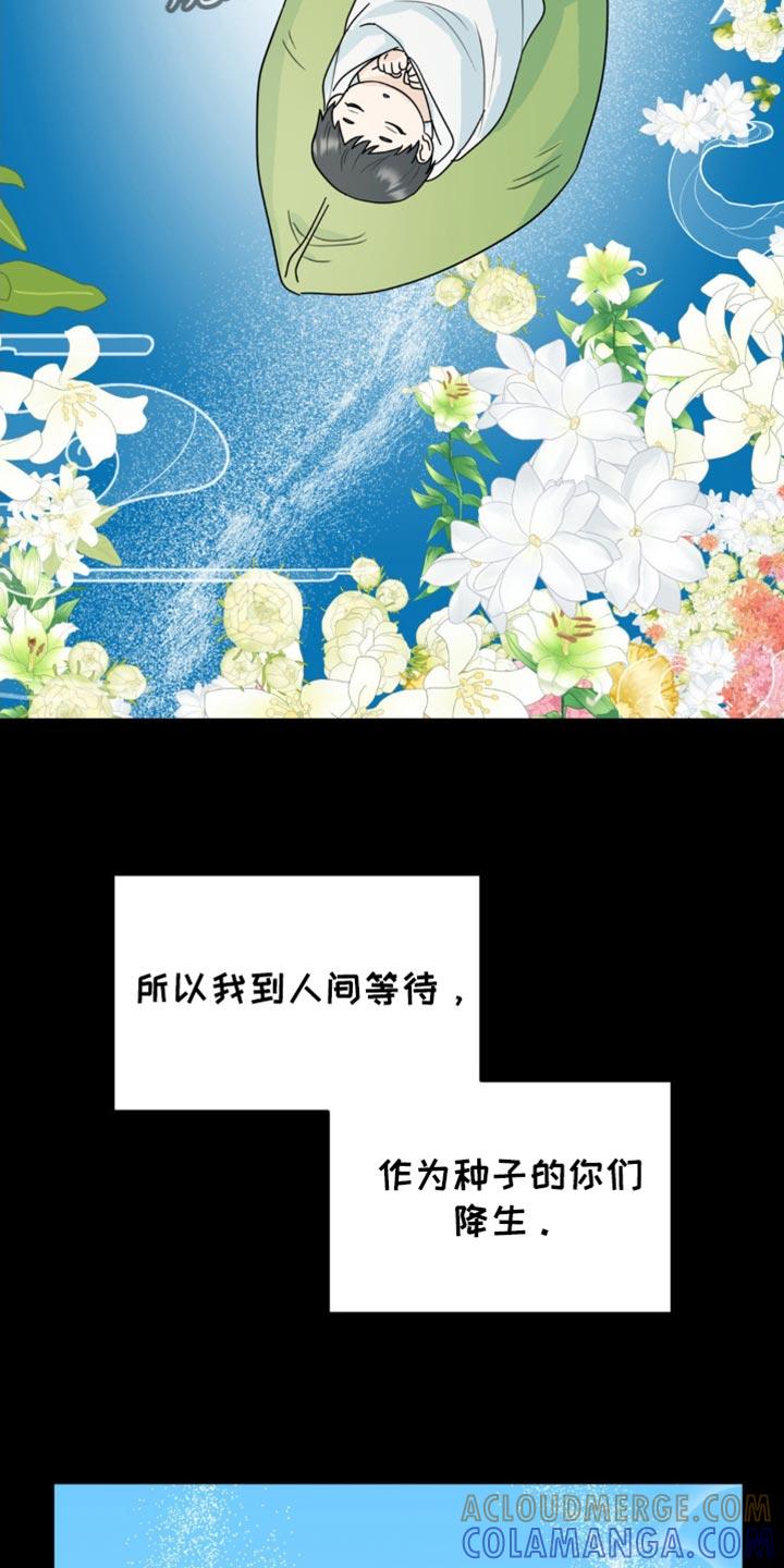 《互补人生》第59章：最后一次 第15页