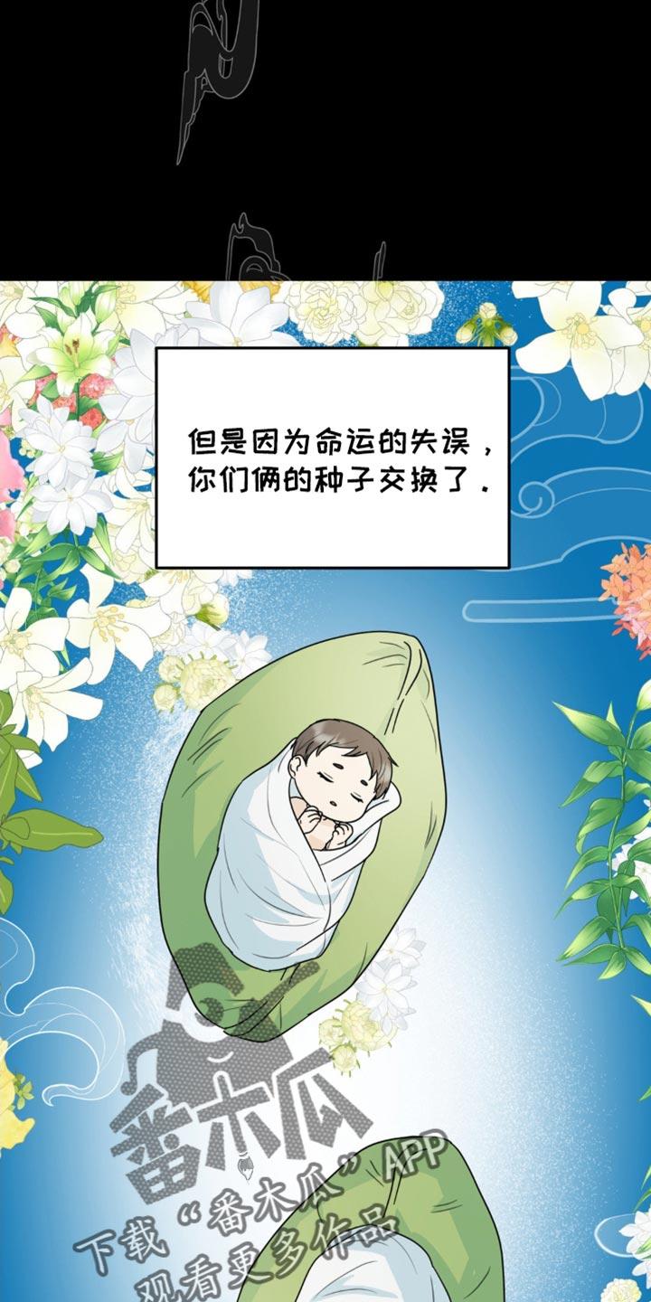 《互补人生》第59章：最后一次 第14页