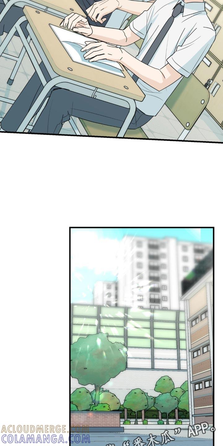 《互补人生》第60章：别的问题 第31页