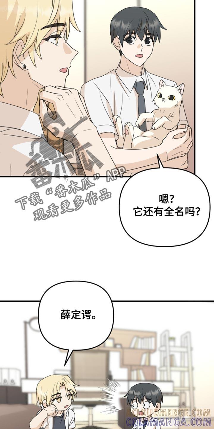 《互补人生》第62章：我们一起生活吧？ 第11页