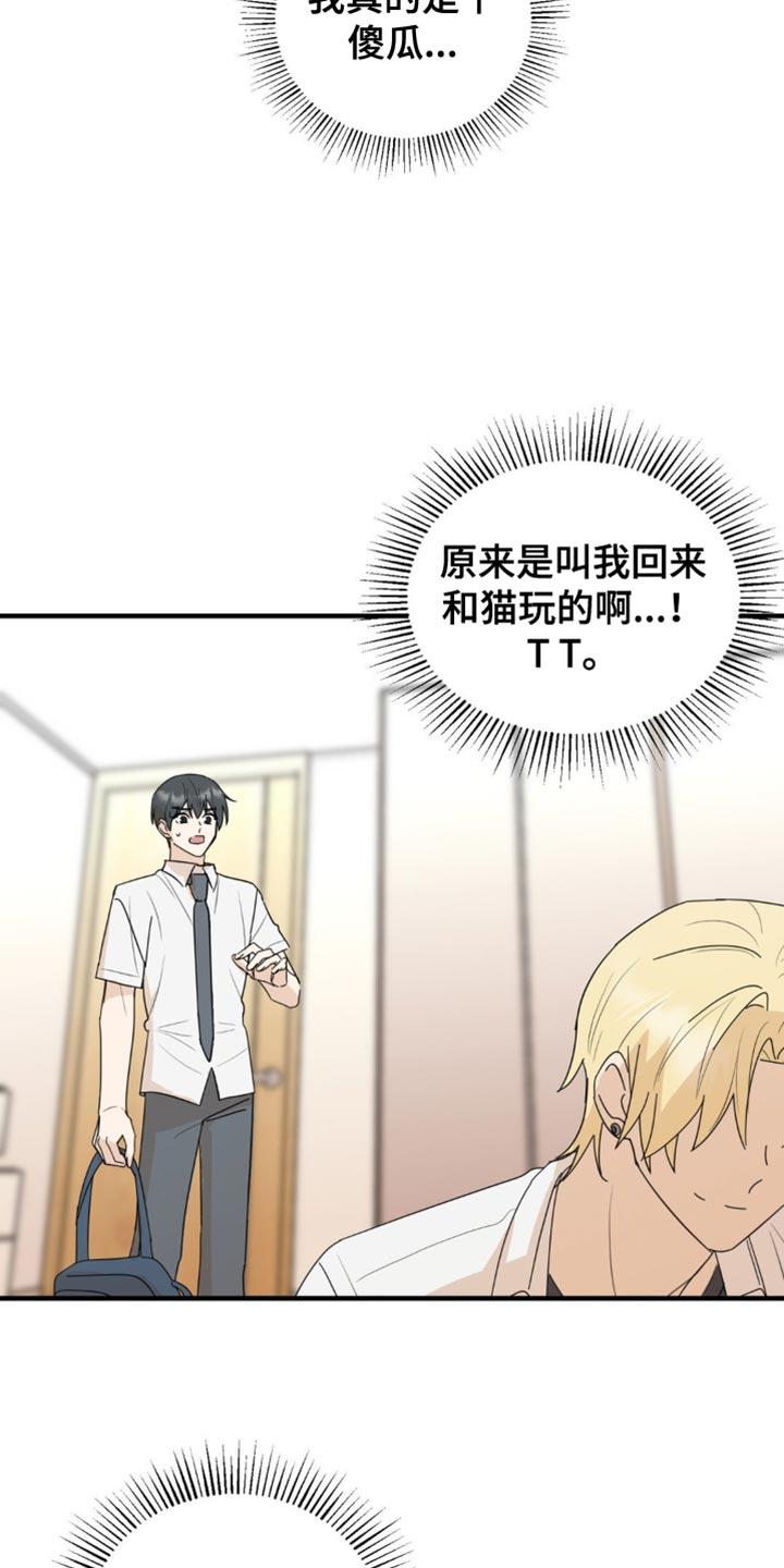 《互补人生》第62章：我们一起生活吧？ 第2页