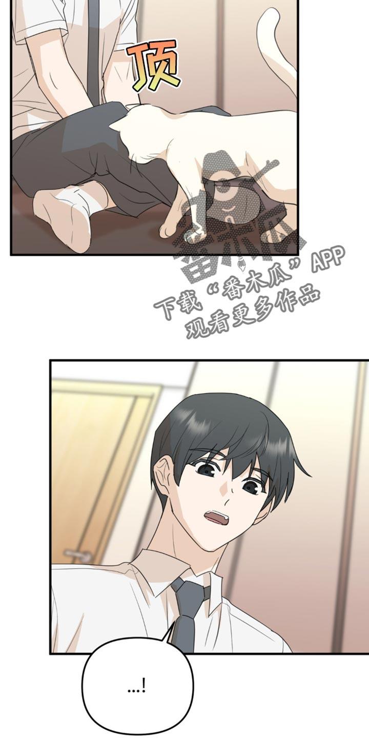 《互补人生》第62章：我们一起生活吧？ 第8页