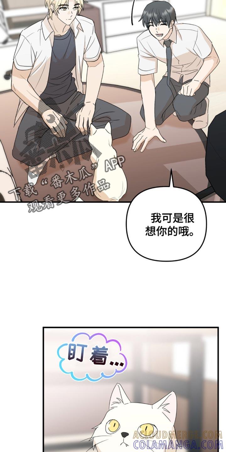 《互补人生》第62章：我们一起生活吧？ 第5页