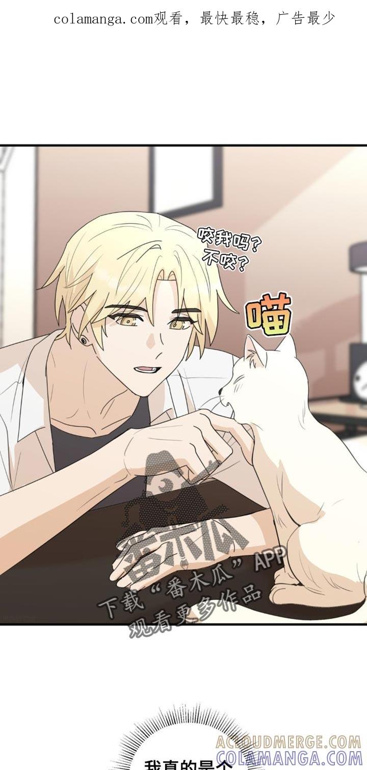 《互补人生》第62章：我们一起生活吧？ 第1页