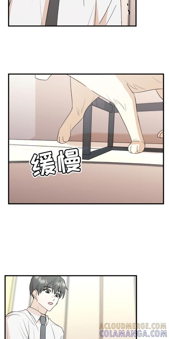 《互补人生》第62章：我们一起生活吧？ 第7页