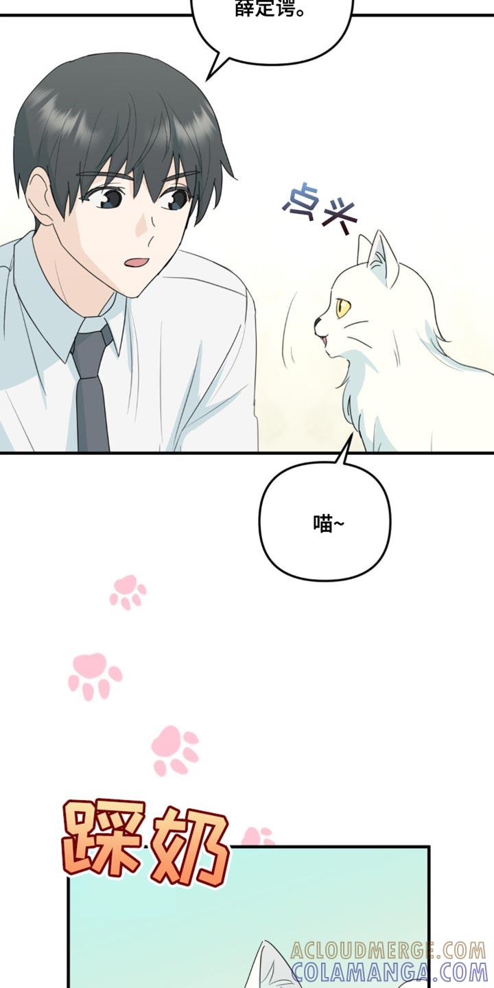 《互补人生》第65章：一点的温暖 第17页