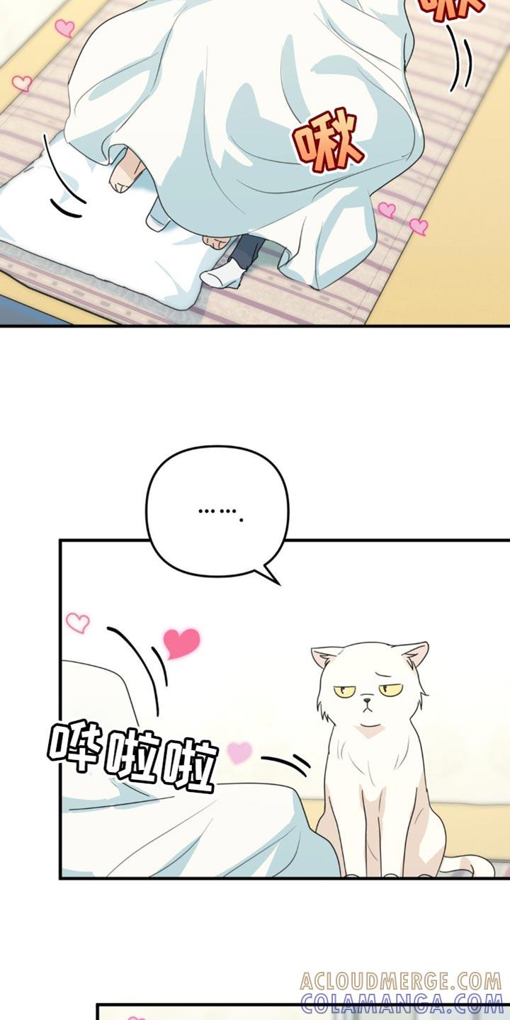 《互补人生》第65章：一点的温暖 第23页