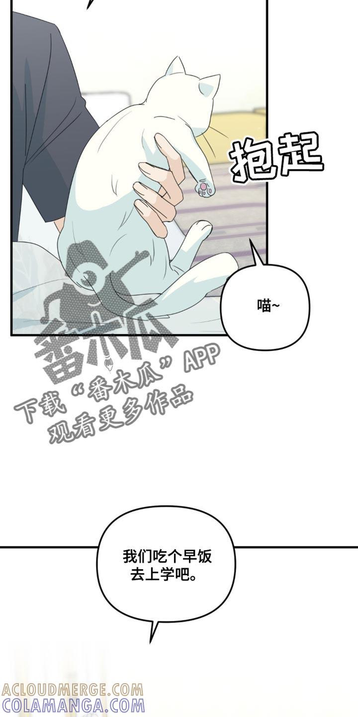 《互补人生》第65章：一点的温暖 第19页