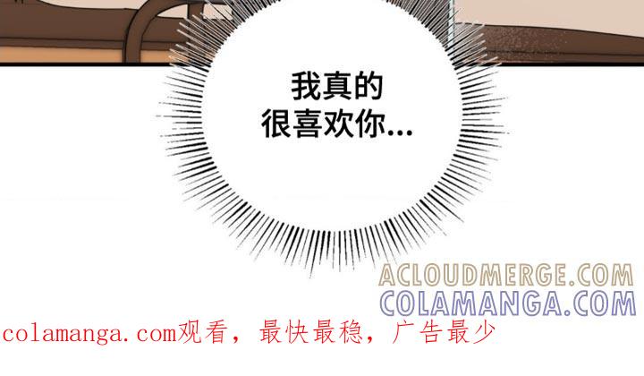 《互补人生》第68章：真的很喜欢你 第29页