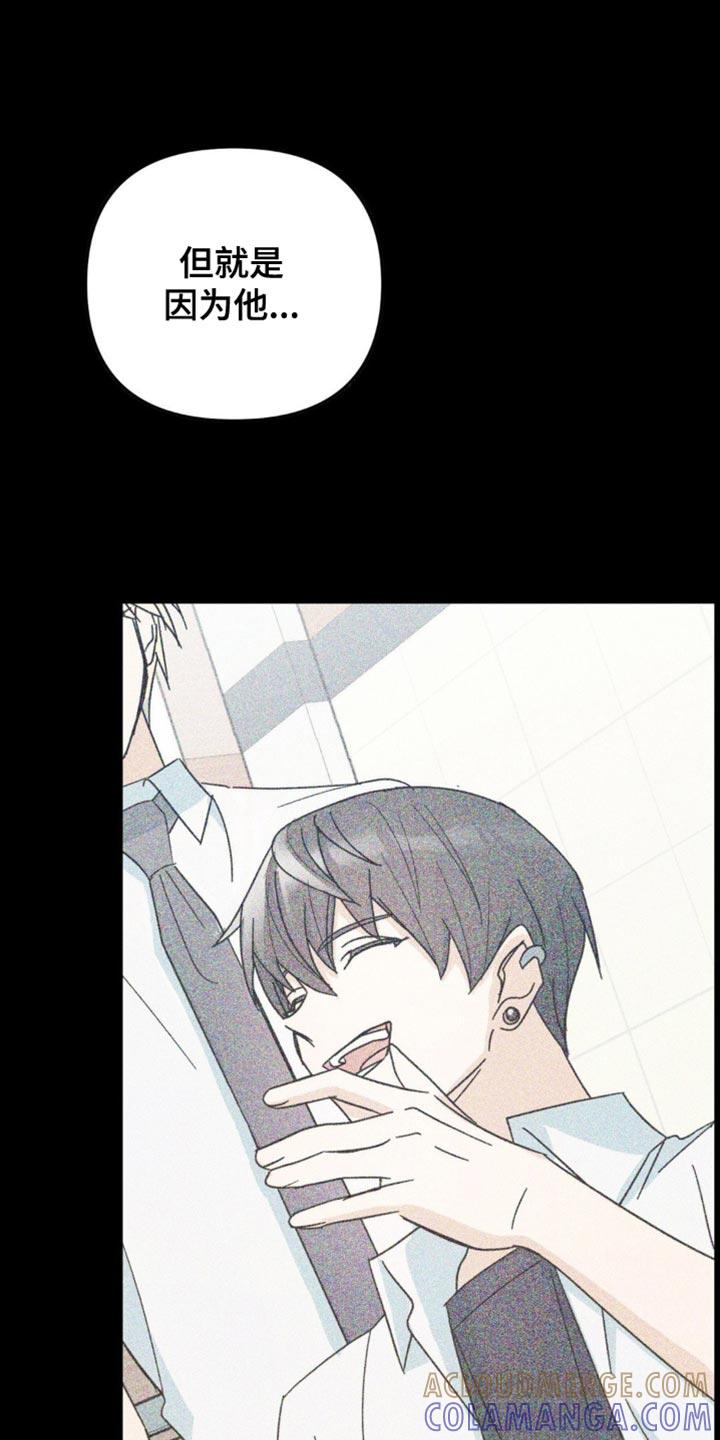 《互补人生》第68章：真的很喜欢你 第17页