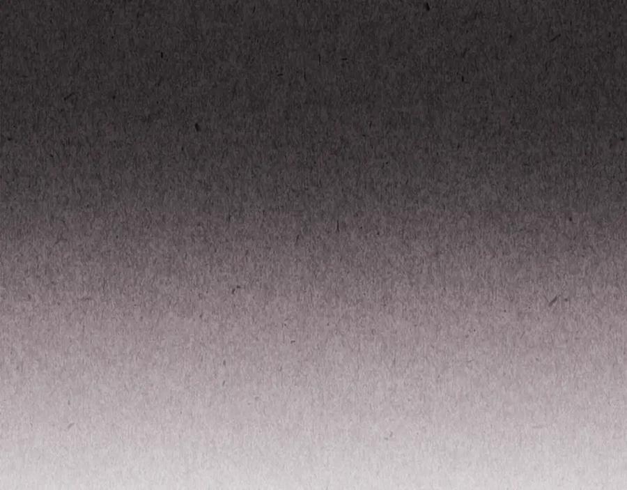 251.jpg