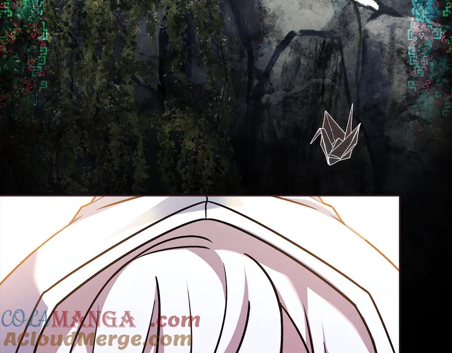 245.jpg