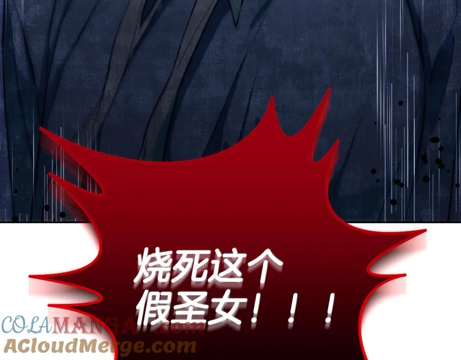 冒牌圣女等待离场 第1话 烧死冒牌货 第25页