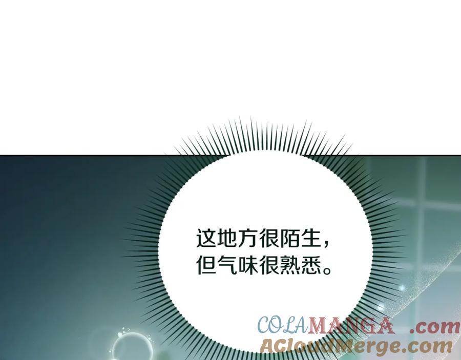 冒牌圣女等待离场 第23话 我会用圣力？ 第29页