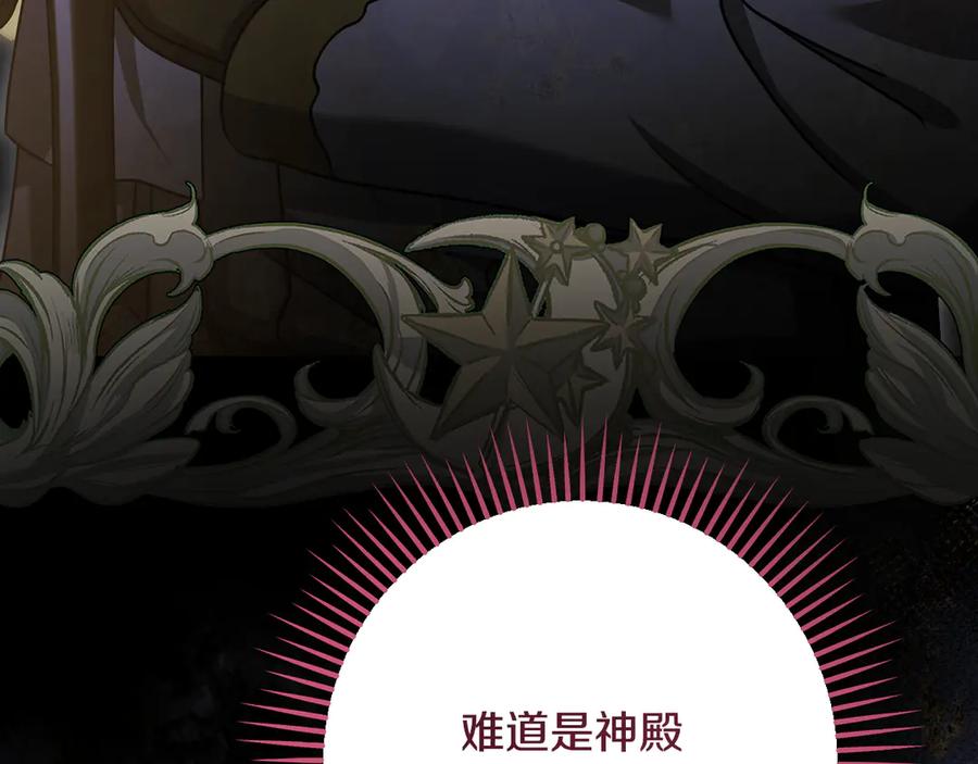 冒牌圣女等待离场 第41话 弱不禁风的人类 第155页