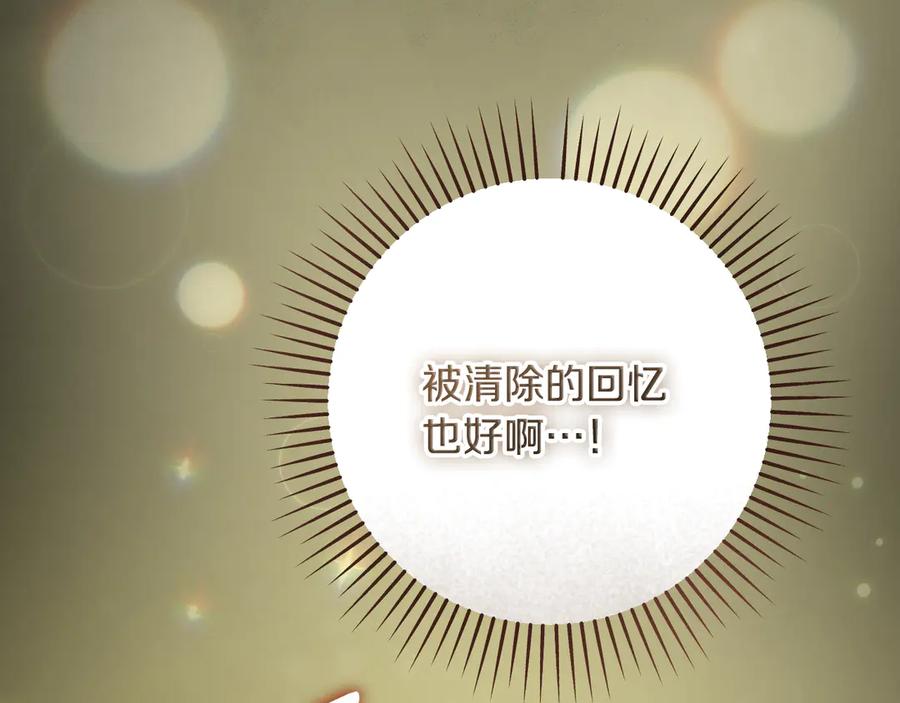 冒牌圣女等待离场 第43话 掩藏的回忆 第30页
