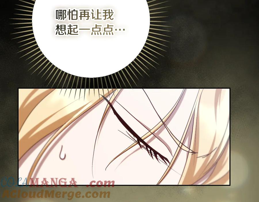 冒牌圣女等待离场 第43话 掩藏的回忆 第29页