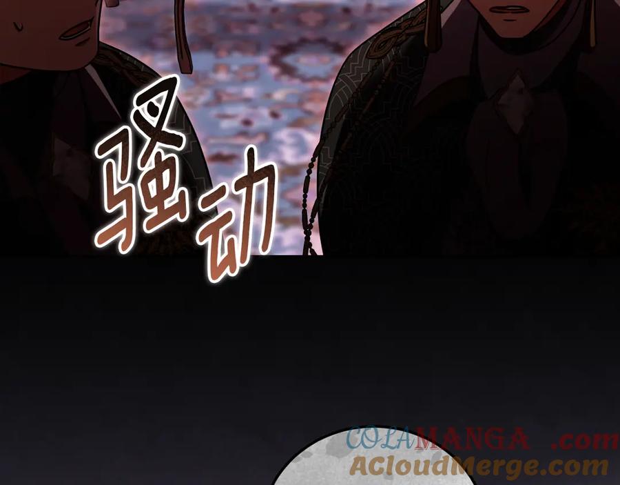 冒牌圣女等待离场 第47话 你更像狗狗 第17页