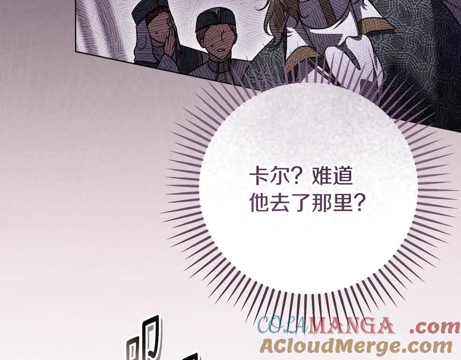 冒牌圣女等待离场 第51话 团长表白真心 第17页