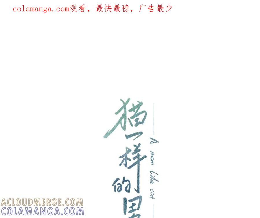 猫一样的男人 第26话 哭出来吧 第1页