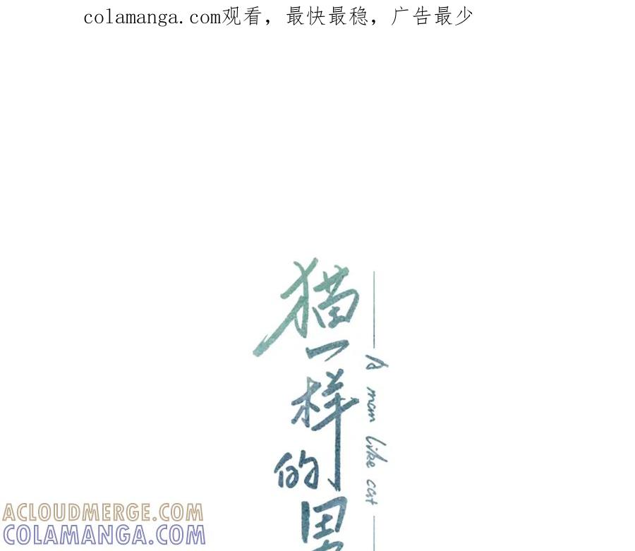 猫一样的男人 第29话 为什么喜欢我 第1页