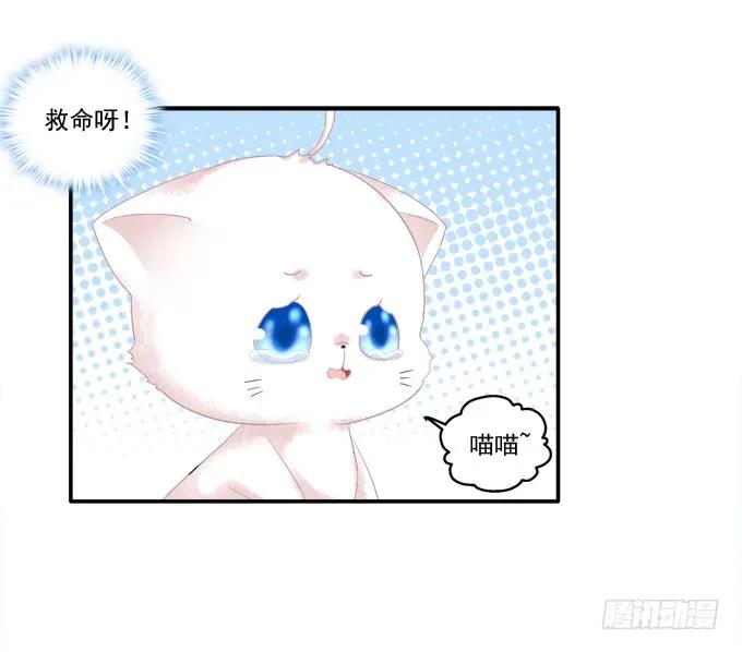 《猫妖的诱惑》身陷囹圄 第47页