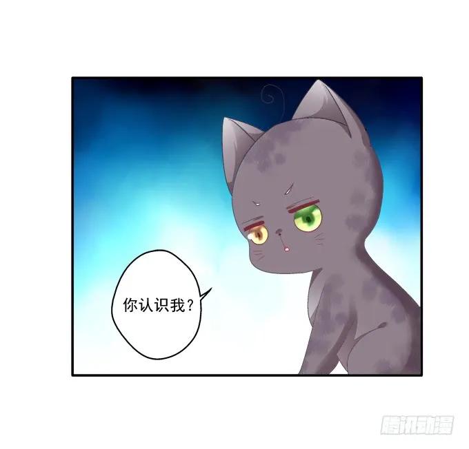 《猫妖的诱惑》身陷囹圄 第29页