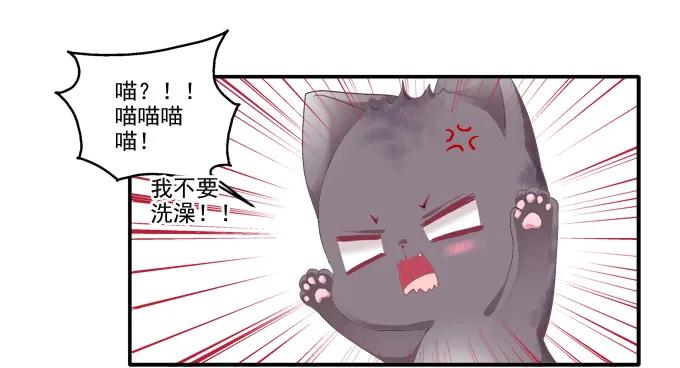 《猫妖的诱惑》身陷囹圄 第20页