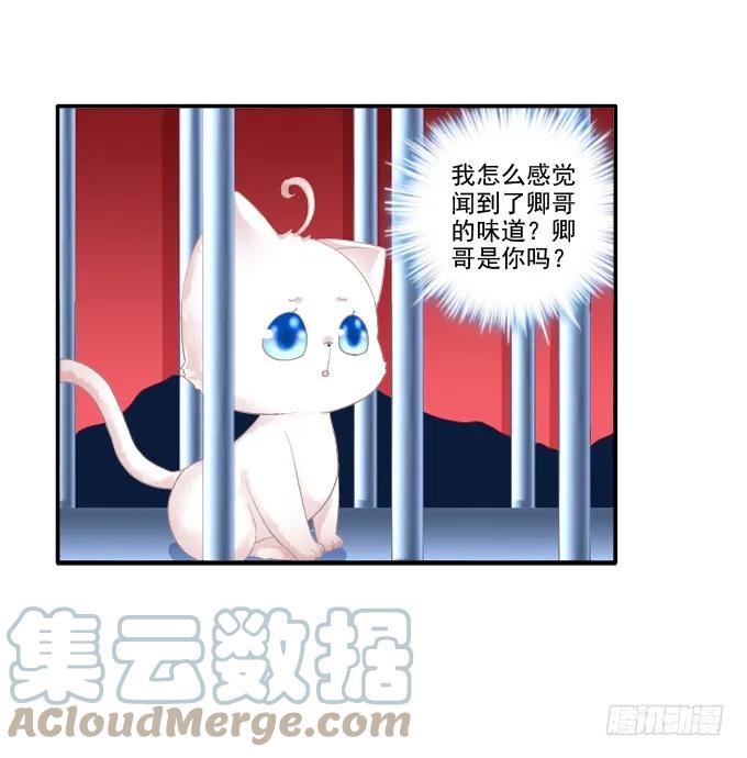 《猫妖的诱惑》身陷囹圄 第46页