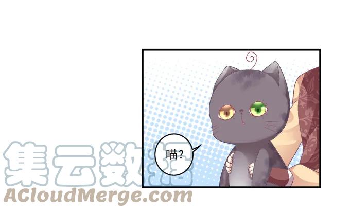 《猫妖的诱惑》身陷囹圄 第19页