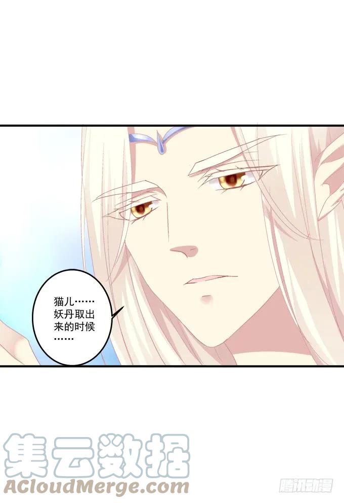 《猫妖的诱惑》弥留之际 第52页
