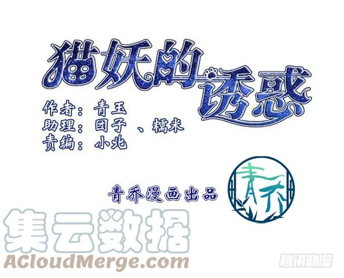 《猫妖的诱惑》漏液私奔 第4页