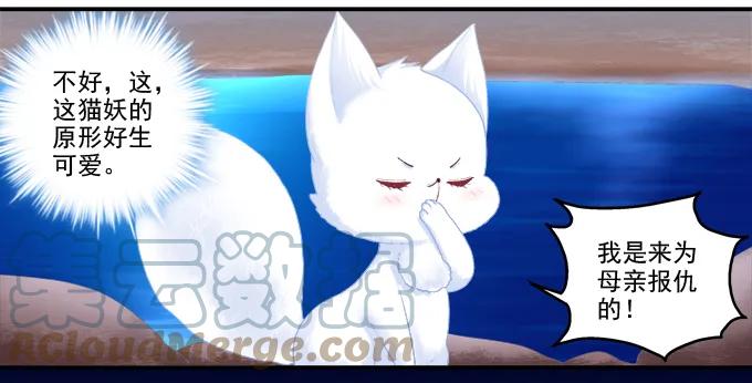 《猫妖的诱惑》分崩离析 第16页