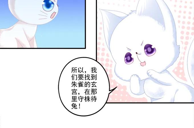 《猫妖的诱惑》分崩离析 第20页