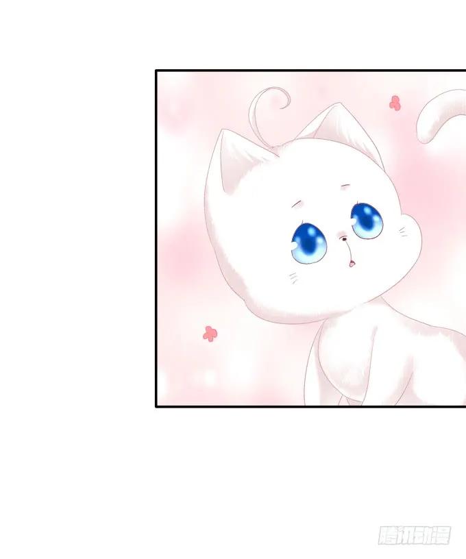 《猫妖的诱惑》分崩离析 第15页