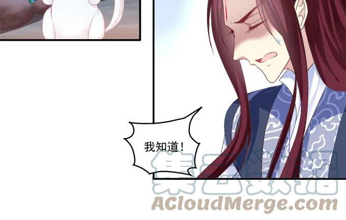 《猫妖的诱惑》分崩离析 第43页